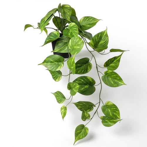 Fake Pothos Hanging Plants – Artificial Plastic Ivy Vines with Pots, Realistic Faux Greenery for Indoor Home Office Bathroom Shelf Cabinet Tabletop Decoration - color: Green