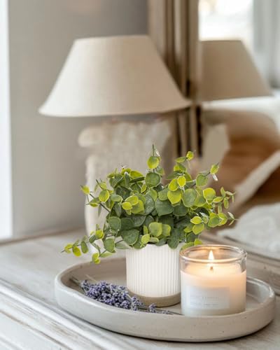 Coferset Small Fake Plants Eucalyptus Potted Artificial Plants Faux Plant Greenery in Ceramic Pot for Bedroom Kitchen House Living Room Shelves Farmhouse Table Office Desk Bathroom Home Indoor Decor - color: Eucalyptus-ceramic Pot