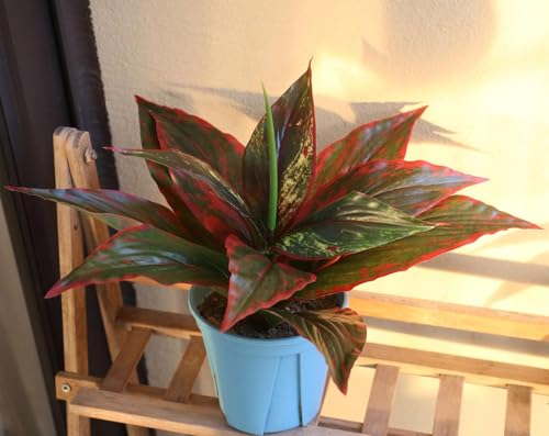 Artificial Magnolia Plants Decoration, Fake Agave Plastic Grass Faux Greenery Soft Plant UV Resistant Shrubs for Indoor Outdoor Home Kitchen Garden Porch Christmas Wedding Table DIY Décor Red 2 Pack - color: Magnolia Leaves Stem/ Red/ 2 Pcs