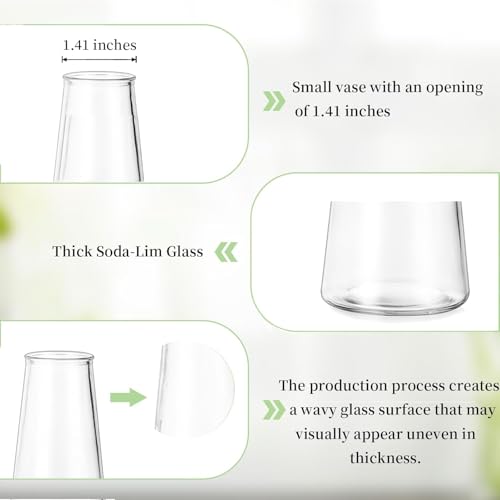 Glasseam Clear Flower Vases for Centerpieces: Modern Glass Vase Set of 12 for Wedding Party Centerpiece Home Table Decor 5.5In Small Bud Vases for Flowers Rose Tulip Stems - size: Clear-12pcs
