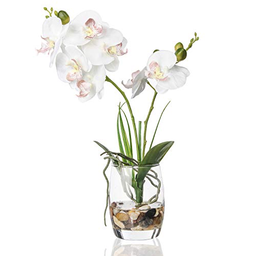 Jusdreen White Orchid Centerpiece in Glass Vase, 14.5 Inch Artificial Phalaenopsis with Potting for Home Office Decor, Table Centerpiece - color: Glass-white