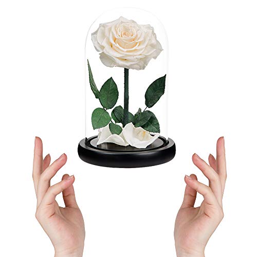 Preserved Roses White Roses Handmade Rose in Glass Dome, Preserved Flowers Never Withered Romantic Gifts for Her, Mother's Day, Birthday Gifts for Women (9 inch) - color: White, size: Large