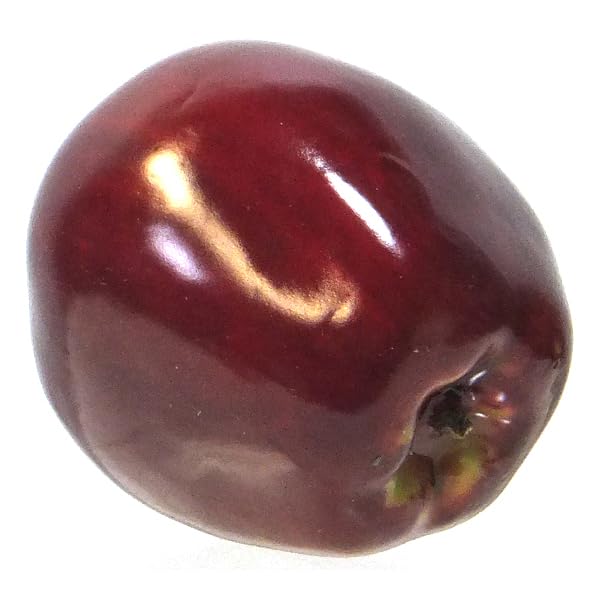 Vasefill 6-Pack Artificial Red Delicious Apple Plastic Apples Fruit Six Pieces Fake - color: Apple (Red Delicious)