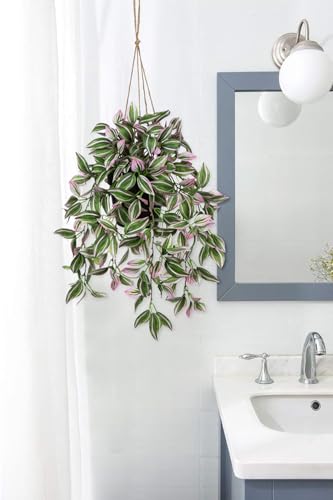 Briful Fake Hanging Plants 17.7" Faux Watermelon Peperomia Silk Plants with Black Pot Artificial Hanging Greenery for Home Garden Balcony Outdoor Patio Decor - color: Pale Pink