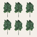 Bagged Set of 6 Silk Leather Fern Bundles - Each Bundle Contains 12 Individual Stems- Total of 72 Greenery Stems