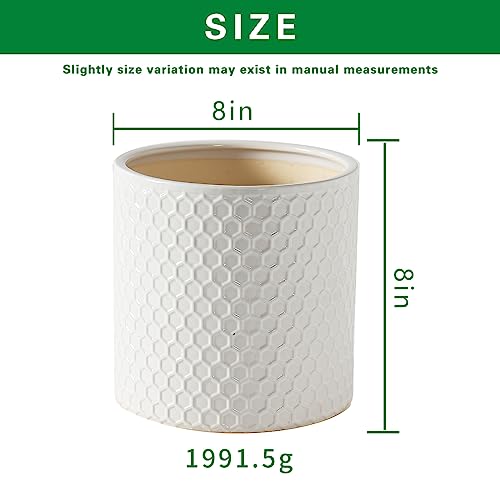 Docrin Ceramic Planters Indoor, 8 Inch Plant Pot with Drainage Holes for Home/Office - White Honeycomb - color: White - 1pcs