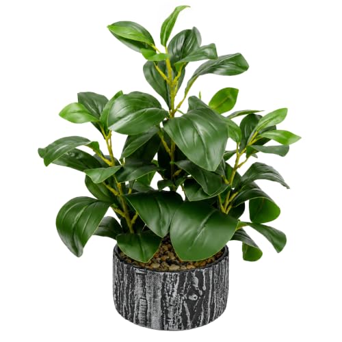 Der Rose 15.7" Artificial Plants Indoor, Money Leaf Fake Plants in Pot for Desk Shelf Office Bedroom Apartment Decor - color: 1pack-green Style a