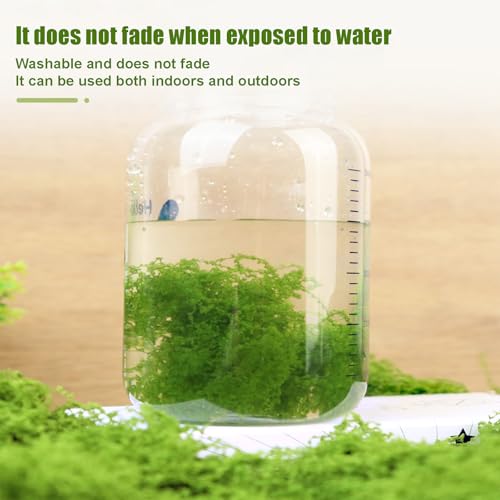 Fake Green Moss for Potted Plants, Artificial Moss, Preserved Moss for DIY Decorating Craft Art Potted Wedding Accessories Fairy Garden Accessories (500G) - size: 17.63oz/500g- Light Green