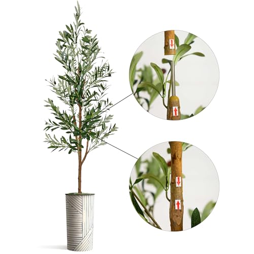 Artificial Tree in Geometric Pattern Planter, Fake Olive Silk Tree for Indoor and Outdoor Home Decoration - 68" Overall Tall (Plant Pot Plus Tree) - style: Olive Tree