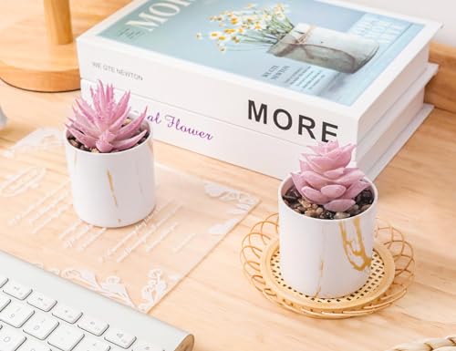 Der Rose Set of 2 Succulents Plants Artificial Mini Fake Succulents Plants for Office Desk Accessories for Women Pink Home Vanity Decor - color: 2-pink