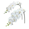 Fnize Orchid Stems Artificial Flowers Real Touch Latex Faux Phalaenopsis Branches 9 Large Blooms 38 Inches 2pcs White - color: White