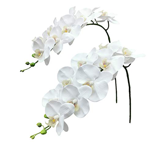 Fnize Orchid Stems Artificial Flowers Real Touch Latex Faux Phalaenopsis Branches 9 Large Blooms 38 Inches 2pcs White - color: White