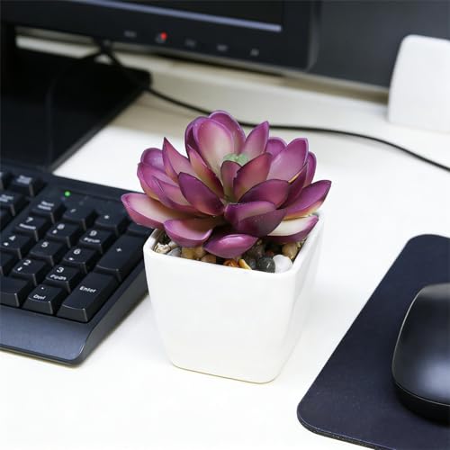 Artificial Succulent Plants in Pot - 1Pcs Pistachio Lotus Realistic Fake Potted Succulents for Home Decor, Desk, Office, Bathroom, Windowsill - Indoor Houseplant for Bedroom, Kitchen, Shelf - color: Pistachio Lotus