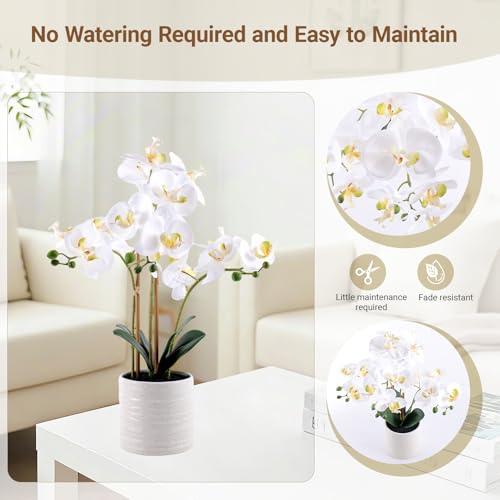 Fake Orchid Plant 23" Tall, Realistic Touch Leaves, Potted Phalaenopsis Artificial Plants Indoor for Home Decor Small Office Home Living Room-White - size: 23 Inch Phalaenopsis Orchid White