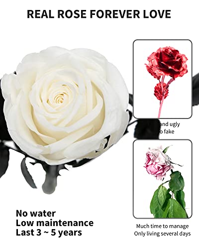 White Flowers for Delivery Prime, Preserved White Roses Flower Gifts for Women, Real Roses Single Rose Gifts for Her, Mom Birthday Gifts from Daughter, Valentines Flowers - color: 01-white