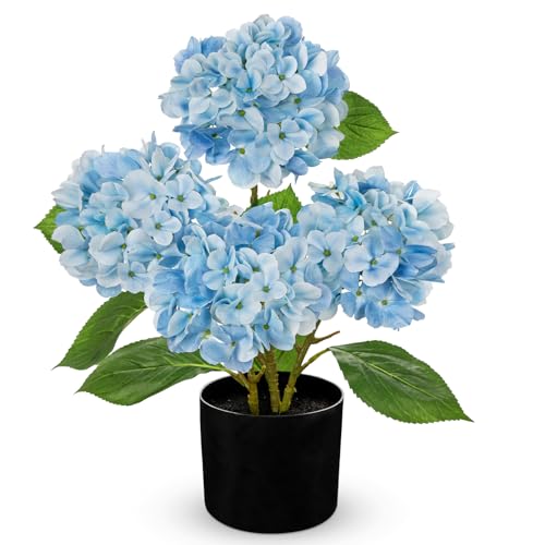 Hollyone Light Blue Hydrangea Artificial Flowers in Pots 19.7" Four-Head Faux Silk Hydranges Flower Arrangements for Indoor Home Office Kitchen Table Centerpieces Wedding Decorations - color: Light Blue, size: 4 Head Hydrangea