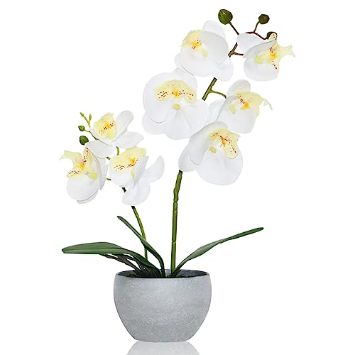 White Orchid Artificial Flowers 2 Stems in Grey Pot, Potted Faux Orchid Flower for Home Bathroom Table Living Room Office Kitchen Decor - color: White