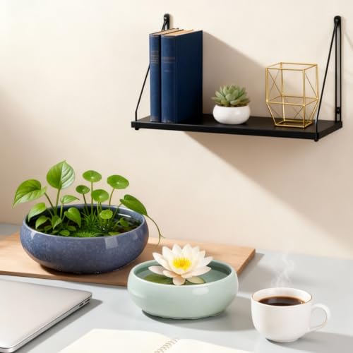 2 Pack Lotus Bowl Planter, Large 7.5'' & Small 6.5'' Shallow Ceramic Water Planting Pot, Drainage-Free Hydroponic Bowl for Lotus Seeds, Ikebana, Succulents & Water Lilies (Sky&Star Series) - color: Sky & Star Series