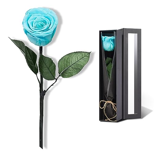 Sky Blue Flowers for Delivery Prime, Preserved Blue Roses Flower Gifts for Women, Real Roses Single Rose Gifts for Her, Mom Birthday Gifts from Daughter, Valentines Flowers - color: 10-sky Blue