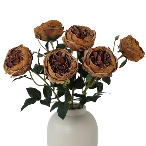 mizii 6Pcs Burnt Orange Artificial Roses Flowers Fake Silk Roses Flower with Long Stem for Wedding Decorations Table Centerpieces Flower Arrangement Home Decor (Burnt Orange) - color: Burnt Orange