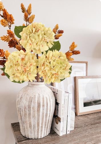 Hollyone 3Pcs Cream White Hydrangea Artificial Flowers Faux Dried Touch Hydrangeas Silk Flowers with Stems Fake Fall Florals Flower for Home Wedding Table Centerpiece Vase Arrangements Fall Decoration - color: Cream - Dried Hydrangea