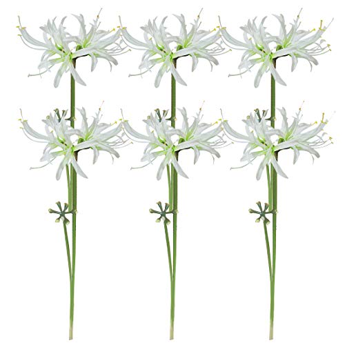 6 Stems 26.38 Inch Artificial Lycoris Radiata Spider Lily Flowers for Home Garden Decoration (White) - color: White