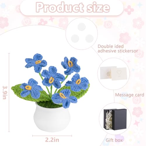LAIDANLA Blue Crochet Flowers Forget Me Not, Mini Handmade Flower Potted Plants for Desk, Anniversary Appreciation Graduation Birthday Gifts for Women Friend Teacher Coworker - color: Blue