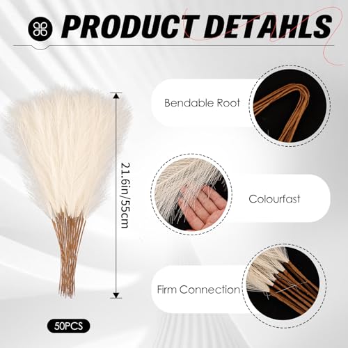50pcs Faux Pampas Grass Beige 21.6 Inch Non-Shedding for Modern Neutral Home, Boho Wedding and Cream Tone Vase Arrangements - color: Beige