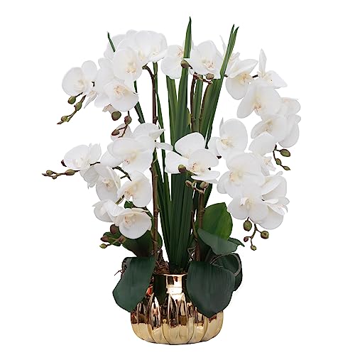 CXGS Artificial Orchid Flower Real Touch Faux Orchids in Ceramic Vase Large 22.9'' Fake Flowers White Phalaenopsis Floral for Home Indoor Decor - color: White- Golden (Large Pot)