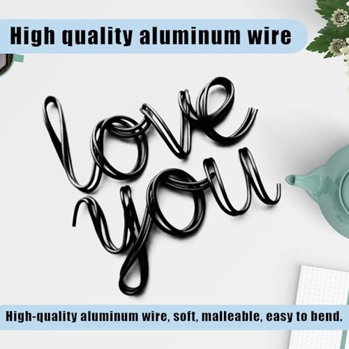18 Gauge Aluminum Wire,165 Feet Craft Wire for Jewelry Making/Floral Making/Sculpting, 1mm Bendable Metal Wire for Model Making/Picture Hanging/Handmade Beading etc(Black) - color: Black