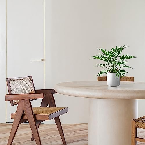 Artificial Palm Tree Plant, Potted Artificial Plant for Home Office Decoration, 12" Tall, Ships in White Ceramic Planter - size: 1ft
