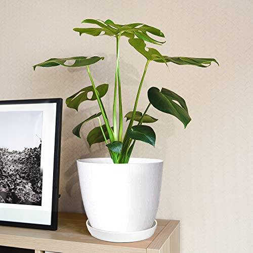 SwinDuck Plant Pots, 12 Pack 6 inch Modern Plastic Planters with Drainage Holes and Saucers for Indoor Outdoor Plants and Flowers, White - color: White