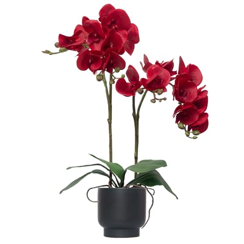 CXGS Orchids Artificial Flowers Real Touch Fake Flowers in Ceramic Pot 20" Red Faux Orchid Plant Lifelike Silk Phalaenopsis for Centerpiece Hotel Home Indoor Decor - color: Red- Black Vase