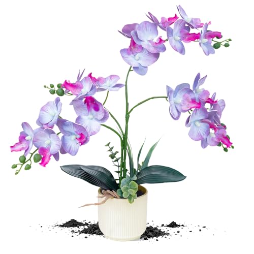 ucky Purple 15.7" 3D Lifelike Artificial Orchid Plant with 20 Heads, Realistic Faux Phalaenopsis in Ceramic Pot for Home Decor, Elegant Fake Flower Arrangement Table Centerpiece - color: Purple