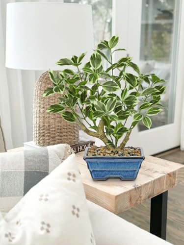 Fake Plants Small Artificial Plants Indoor 15.3" Fake Potted Plants Realistic Faux House Topiary Plants with Blue Ceramic Pot for Home Office Bathroom Kitchen Farmhouse Table Centerpieces Shelf Decor - color: White -Blue Pot