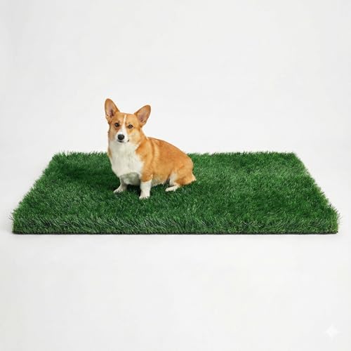 Turf Grass 59"x36" for Dogs with Drainage Holes - Easy to Clean Washable Pad for Potty Training, Artificial Turf for Dogs Puppies, Realistic Fake Grass for Pet Areas, Dog Potty for Pee Indoor Outdoor - size: 59" x 36", style: With Drainage Holes