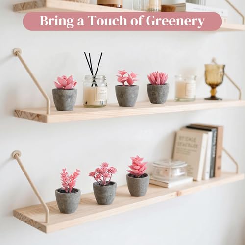DomeStar Set of 6 Artificial Succulent Plants Potted, Assorted Decorative Pink Faux Succulent Potted Fake Cactus Cacti Plants with Pots - color: Pink