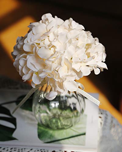 DuHouse Hydrangea Silk Flowers Large Artificial Flowers with Stem Fake Champagne Flower Heads for Wedding Centerpiece Home Decor Pack of 6 - color: Champagne