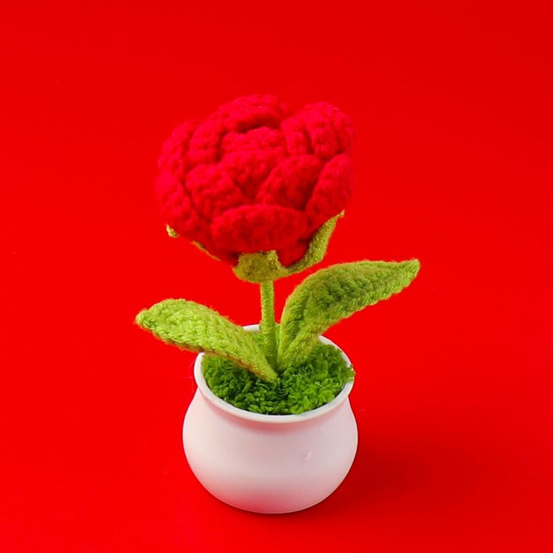 Crochet Rose Potted, 2pcs Mini Artificial Plants Rose Flowers Potted Plants Handmade Knitting Flower for Family and Friends, Crochet Flowers for Home Car Decor (Red) - color: Red Rose