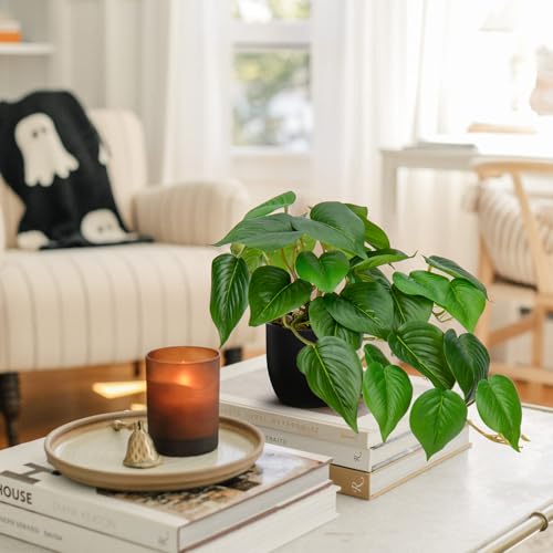 DILATATA Fake Plants Indoor 8 Inch Artificial Pothos Plant in Black Plastic Pot - Faux Potted Pothos Plant for Home Aesthetic Decor Living Room Shelf Office - color: Pothos #Plastic