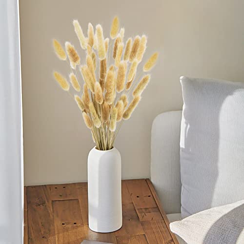 Uieke 17’’ Natural Bunny Tails Dried Flowers, 50 Pcs Dried Lagurus Ovatus, Dried Brown Pampas Grass Decor for Farmhouse Flower Arrangements Wedding Home Boho Party Decorations - color: Brown-50pcs