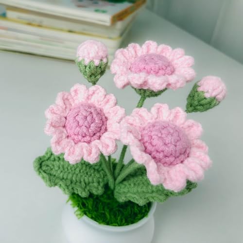 Joekaran Crochet Flowers Cute Little Potted Flower, Birthday Gifts for Women, Mother's Day, Teacher’s Day, Graduation, Anniversary, Desk Decor, Home Office Decoration (Rose red Daisy) - color: Rose Red Daisy
