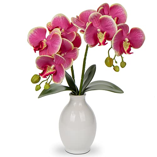Briful Pink Orchids Artificial Flowers 16'' Faux Orchids in Ceramic Vase Fake Orchid Arrangement for Home Office Room Table Centerpieces Kitchen Elegant Decor Indoor - color: Pink