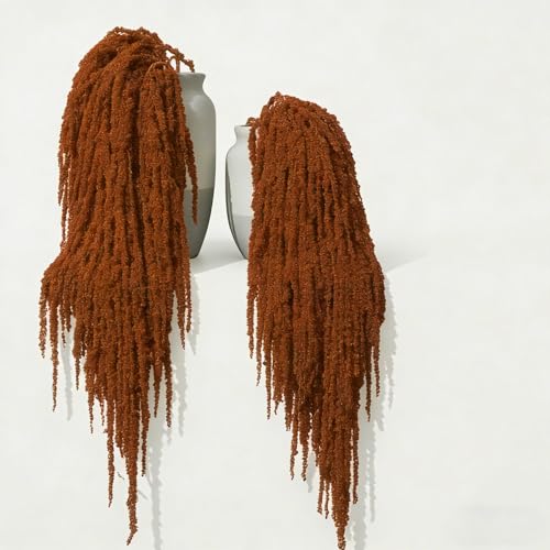 5Pcs Dried Amaranthus Hanging Flowers, 53" Neon Green Preserved Natural Wisteria for Wedding Arch, Table Centerpiece, Wall Hanging Lover Tears, Floral Arrangement (Red) - color: Red