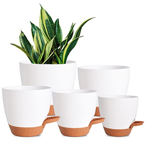 Vanslogreen Plant Pots for Indoor Plants 5 Pack Self Watering Planters, 7/6.5/6/5.5/5 Inch Self Watering Pots with Drainage Hole Plastic Flower Pot for Herbs, Succulents, African Violet (White) - color: White-5pack, size: 7/6.5/6/5.5/5 inch