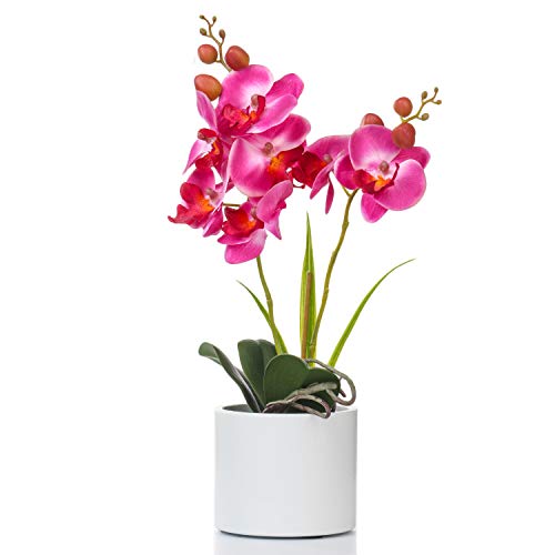 Jusdreen Artificial Purple Orchid, Phalaenopsis in Ceramic Pot with Vase for Home Office Table Decor, Flower Centerpiece - color: Z/Ceramic-purple