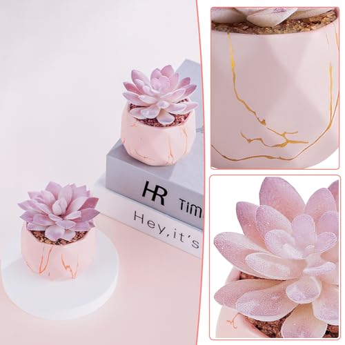 ZENIDA Artificial Succulent Plants in 2 Pink Ceramic Pots, Cute Fake Plants for Vanity Decor,Office, Desk, Bathroom, Kitchen,Bedroom, Shelves Decor for Women,Girls Gift - color: Pink