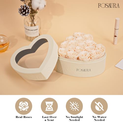 Rosaura Heart-Shaped Preserved Roses Gift Box - Real Forever Flowers for Christmas, Birthday, Valentine's & Mother's Day (Champagne, 16 roses) - color: Champagne, size: 16 roses