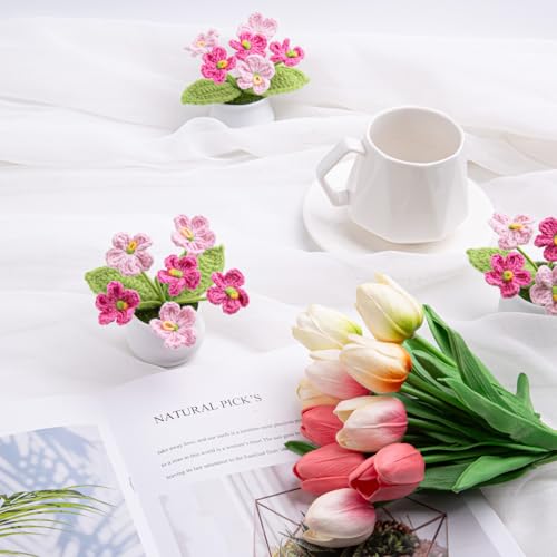 LAIDANLA Crochet Flowers Forget Me Not Small Gradient Pink Gifts for Women Handmade Anniversary Graduation Birthday Gifts for Mom Teacher Friends Coworker Knitted Flower Potted for Desk Accessories - color: Ombre Pink