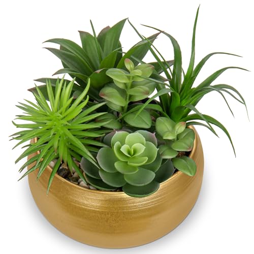 Hollyone Fake Plants Artificial Succulents in Pots Faux Succulent Arrangement Potted Plant in Gold Ceramic Planter Bowl for Home Decor Office Desk Bathroom Shelf Living Room Indoor Decorations - color: Premium Gold